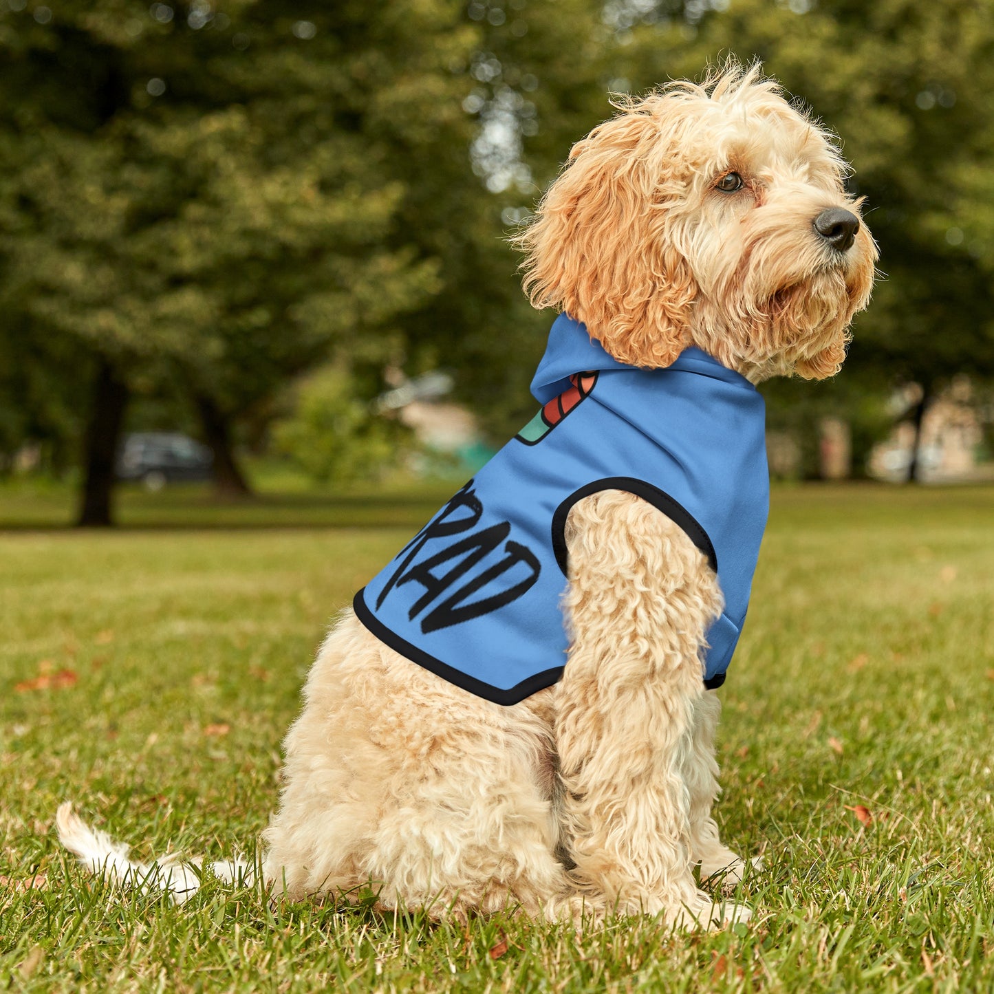 Carlsrad Dog Hoodie