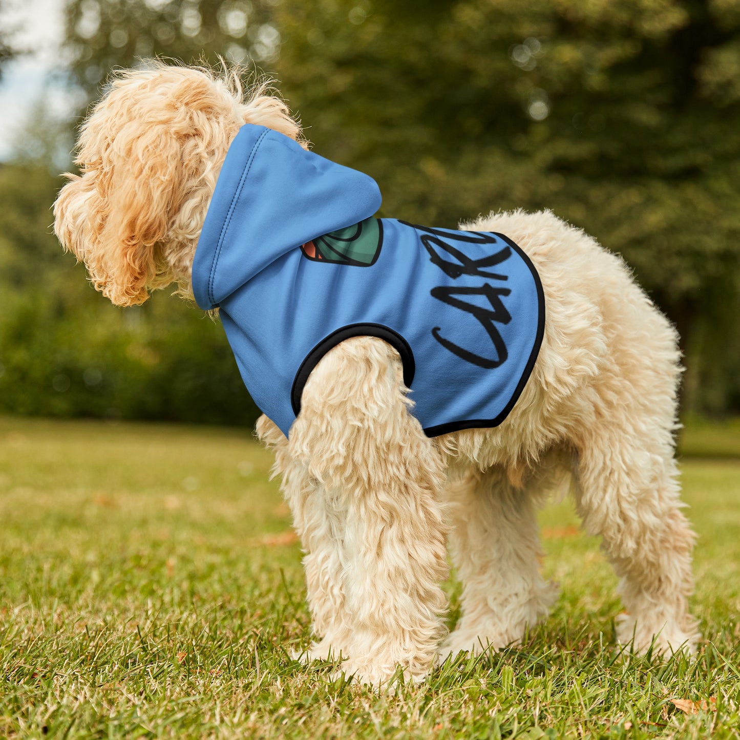 Carlsrad Dog Hoodie