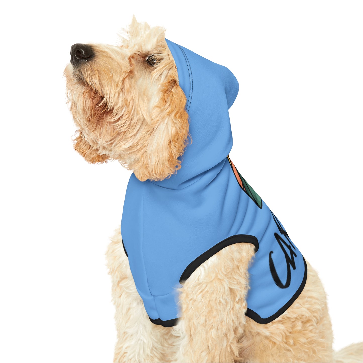 Carlsrad Dog Hoodie